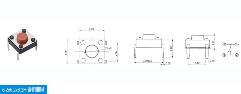 6.2x6.2x3.1H帶帽插腳高度圖.jpg 6.2x6.2x3.1H帶帽插腳高度圖.jpg